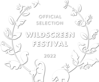 Wildscreen Festival