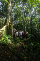 Team poses in front of ceiba tree